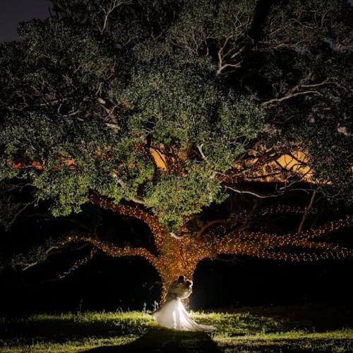 Bride and groom stand beneath a magical fairy-lit tree at night at Western Ridge.